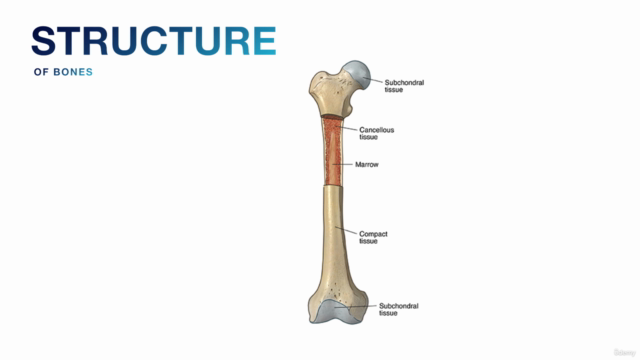 Healthcare Master Class TM – Screenshot 3