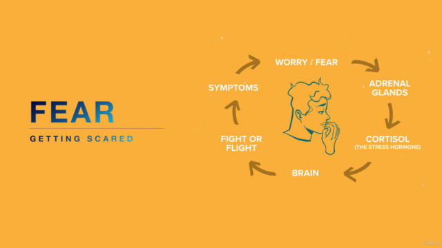 Fear Associated with Health Master Class (TM) – Screenshot 4