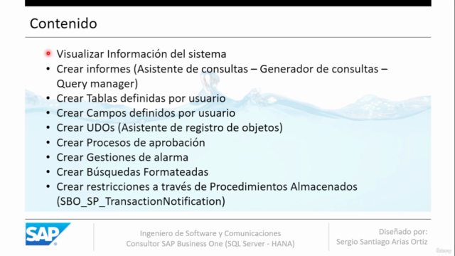 SAP BUSINESS ONE: Capacitacion Tecnica ERP SAP B1 (SQL HANA) – Screenshot 2