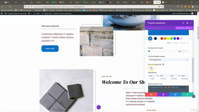 Kurs Wordpress - strona oparta o DIVI – Screenshot 4
