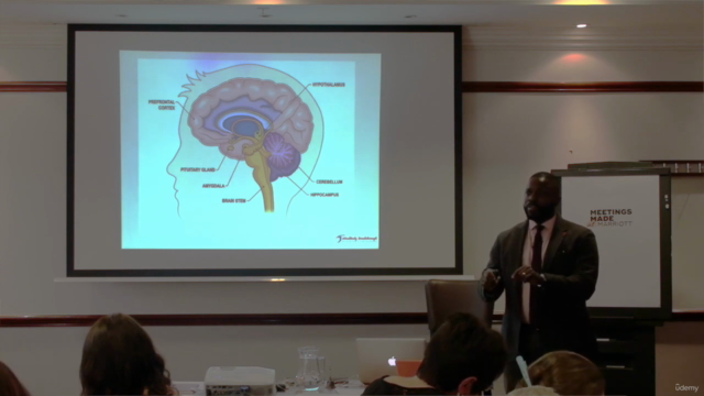 Chronic Stress Recovery Course – Screenshot 3