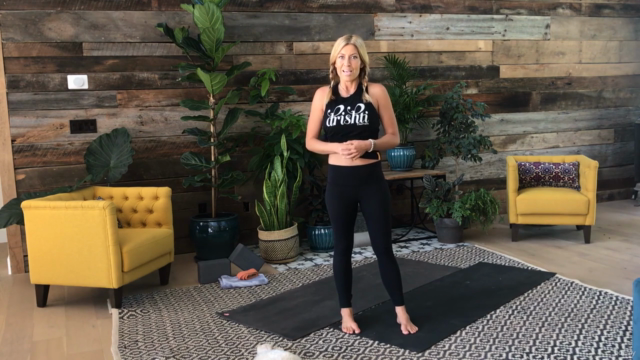 The Space Within Us - Introduction To Yoga, Body and Breath – Screenshot 3