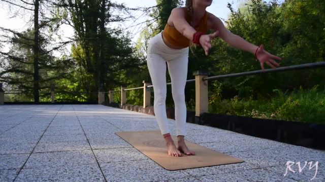 Hatha Yoga for stronger core, body flexibility & mobility – Screenshot 1