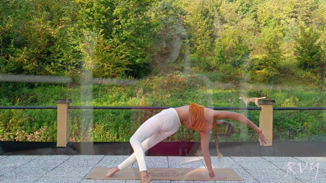 Hatha Yoga for stronger core, body flexibility & mobility – Screenshot 2