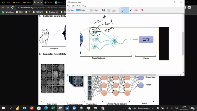 Building AI Projects Master Machine Learning & Deep Learning – Screenshot 1