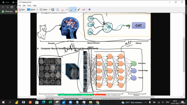 Building AI Projects Master Machine Learning & Deep Learning – Screenshot 3