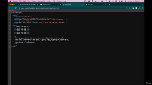 HTML CSS Web Development for Complete Beginners - Screenshot_04