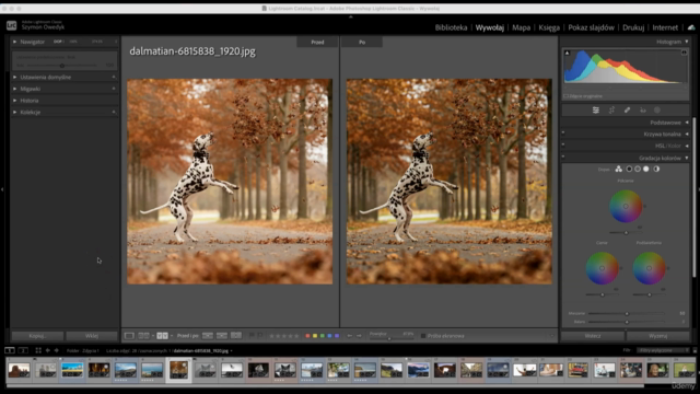 Adobe Lightroom Classic i Lightroom CC Edycja Zdjęć od A-Z – Screenshot 1