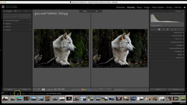 Adobe Lightroom Classic i Lightroom CC Edycja Zdjęć od A-Z – Screenshot 3