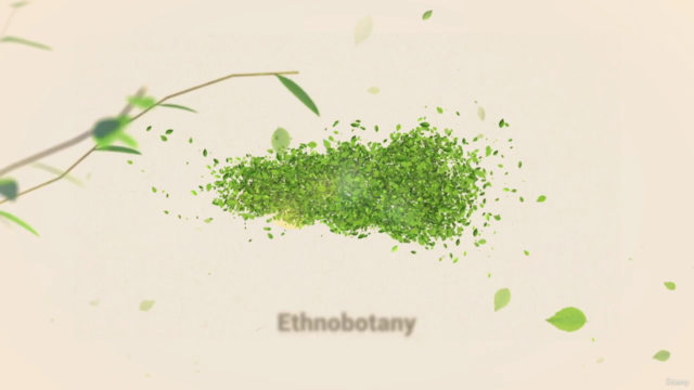 Introduction to ethnobotany – Screenshot 2