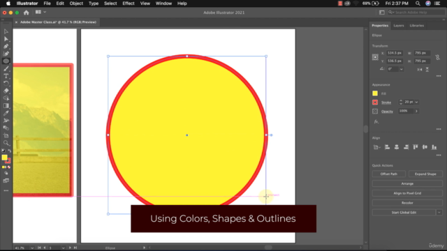 Adobe Illustrator Masterclass: From Beginner to Pro - Screenshot_02