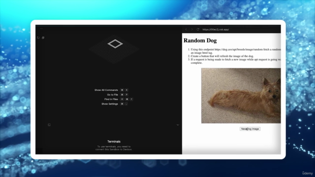JavaScript 45-Day Bootcamp: Learn Web Development in 2025 – Screenshot 2