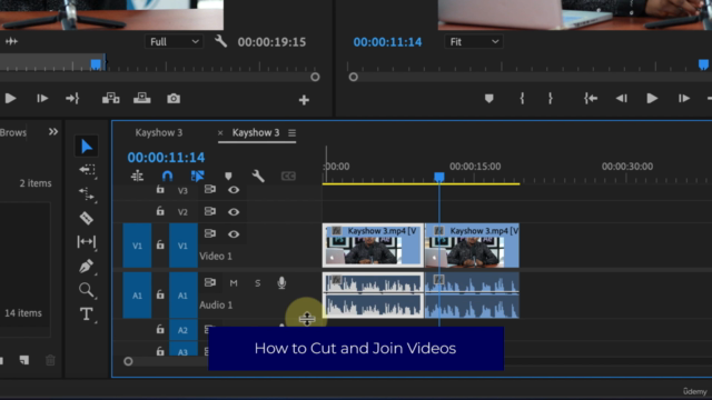 Adobe Premiere Pro Masterclass: From Beginner to Pro - Screenshot_02