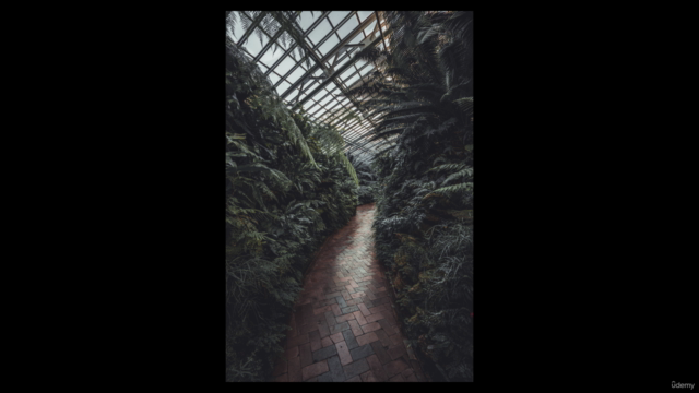Moody Style Photos With Adobe Lightroom Classic – Screenshot 1