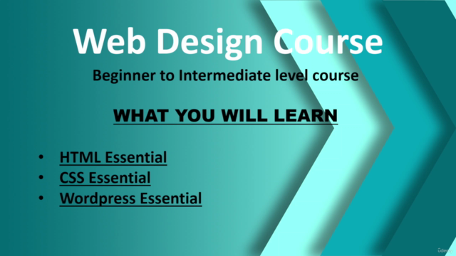Web Design Course for Beginners to Intermediate - Screenshot_04