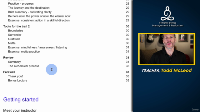 Mindful Stress Management & Reduction for Work & Life – Screenshot 4