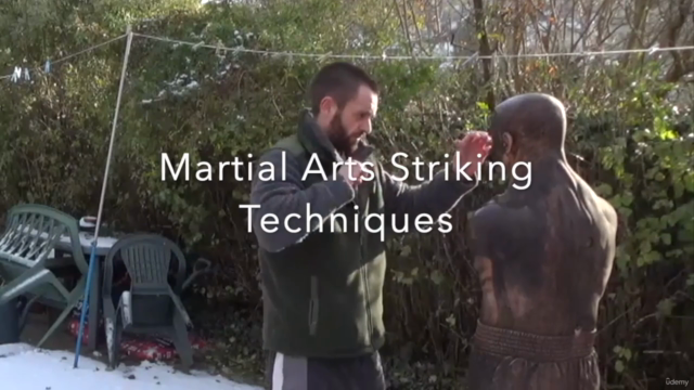 Martial Arts Striking Techniques – Screenshot 1