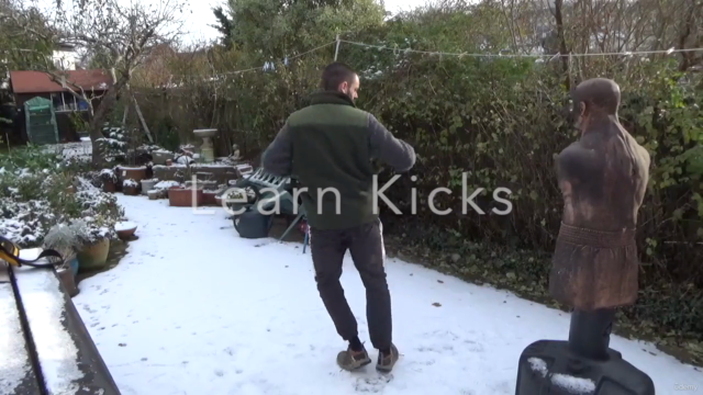 Martial Arts Striking Techniques – Screenshot 2