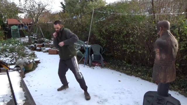 Martial Arts Striking Techniques – Screenshot 3