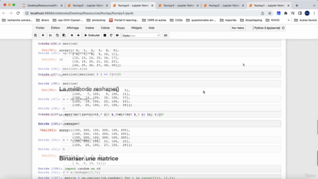 Apprendre l'analyse et la visualisation de données en Python – Screenshot 2