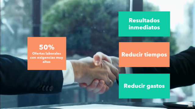 Coaching Laboral para principiantes y profesionales – Screenshot 1
