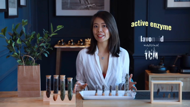 Embrace the Essence of Tea: Your Path to a Mindful Lifestyle – Screenshot 3