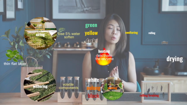 Embrace the Essence of Tea: Your Path to a Mindful Lifestyle – Screenshot 4