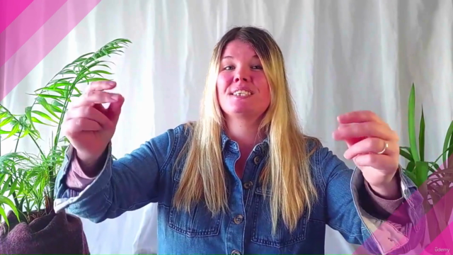 10 Steps to a Strong Singing Voice – Screenshot 2