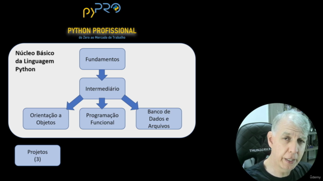 Python Profissional: do zero ao mercado de trabalho! – Screenshot 3
