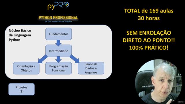 Python Profissional: do zero ao mercado de trabalho! – Screenshot 4