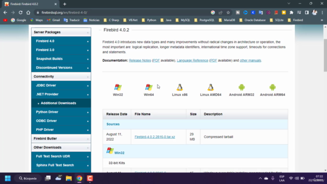 Curso de Base de Datos Firebird – Screenshot 2