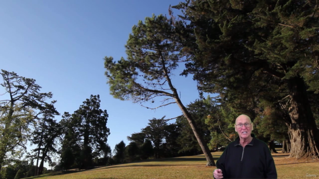 21 Chair Exercises For Seniors: A Comprehensive Visual Guide – Screenshot 1