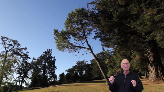 21 Chair Exercises For Seniors: A Comprehensive Visual Guide – Screenshot 4