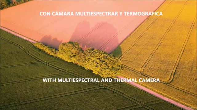 Teledetección con drones y Pix4D Mapper (Remote sensing) – Screenshot 3
