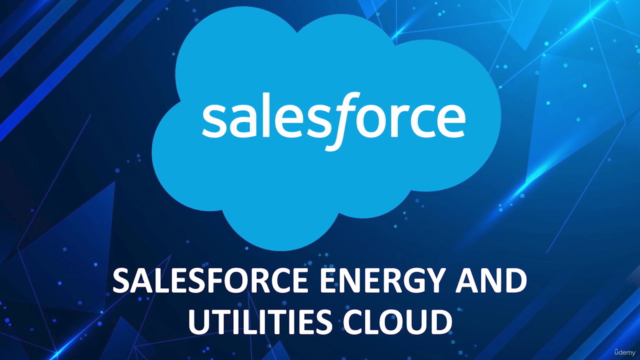Salesforce Energy and Utilities Cloud – Screenshot 1