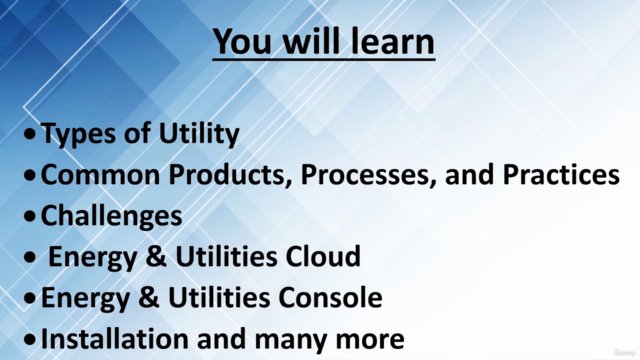 Salesforce Energy and Utilities Cloud – Screenshot 2