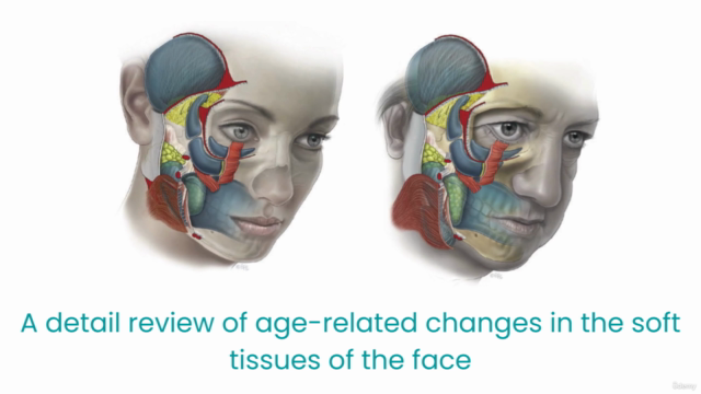 Anatomy of Aging/Анатомия Старения – Screenshot 1