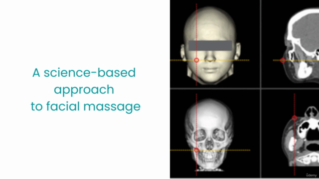 Anatomy of Aging/Анатомия Старения – Screenshot 4