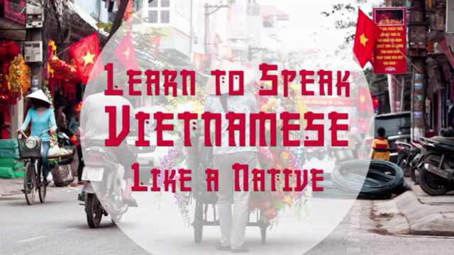 Learn to Speak Vietnamese Like a Native – Screenshot 2