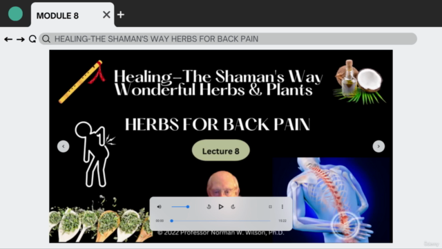 Healing-The Shaman's Way Using Herbs – Screenshot 4