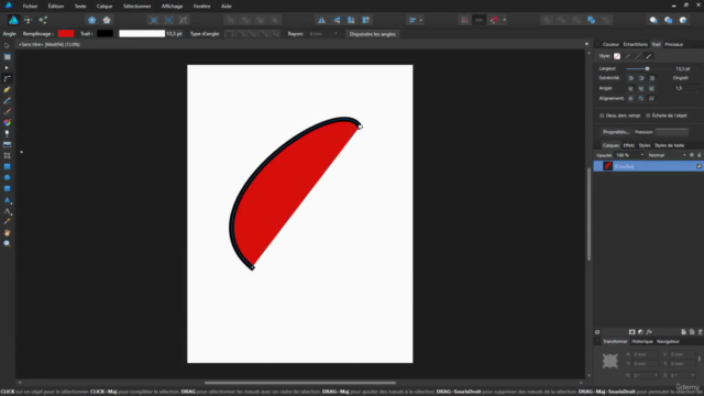 Introduction à 3 logiciels de création vectorielle – Screenshot 2