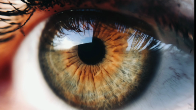 Healthy Eyes (Eye Yoga: The must for all of us) – Screenshot 1