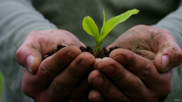 Unlock Your Jewish Purpose: Unleash Your Talents in Judaism – Screenshot 2