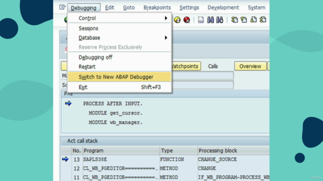 Abap Debug para Funcionais SAP - Screenshot_03