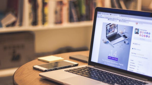HTML and CSS for Beginners 2024 – Screenshot 1