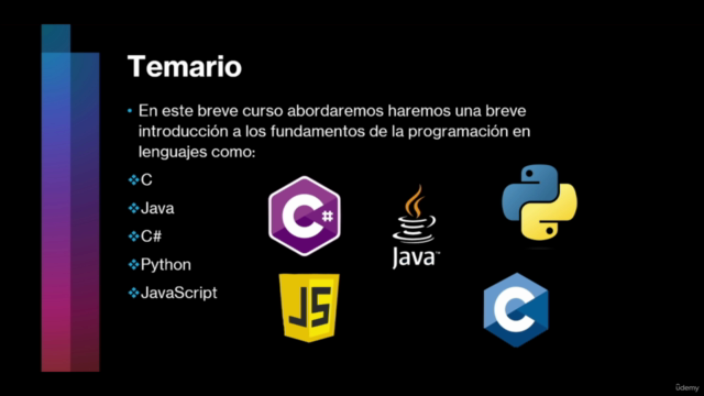 Introducción a la programación en C, java, C#, Python y JS – Screenshot 2