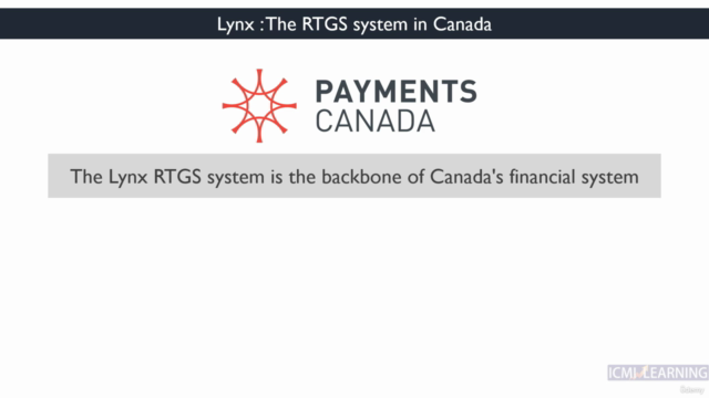 Payment Systems in the USA & Canada: FEDWIRE/CHIPS/ACH/LYNX – Screenshot 3
