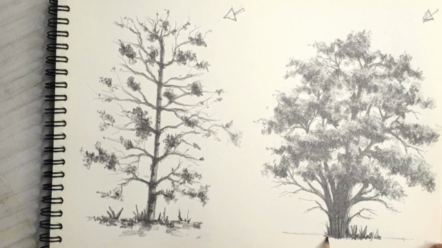 رسم الاشجار بالخامات المختلفة - Screenshot_04