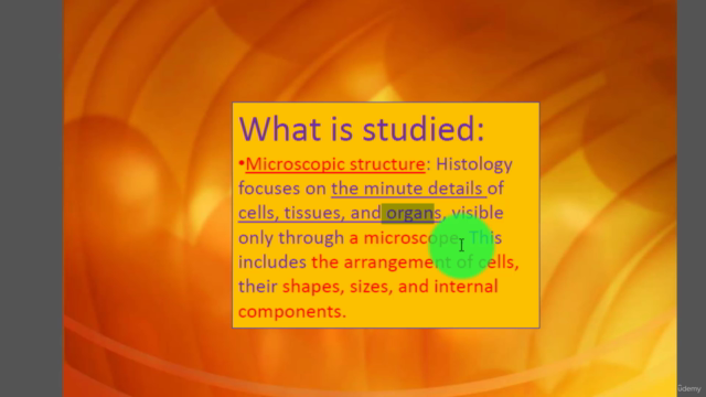 histology fundamentals for medical students – Screenshot 1