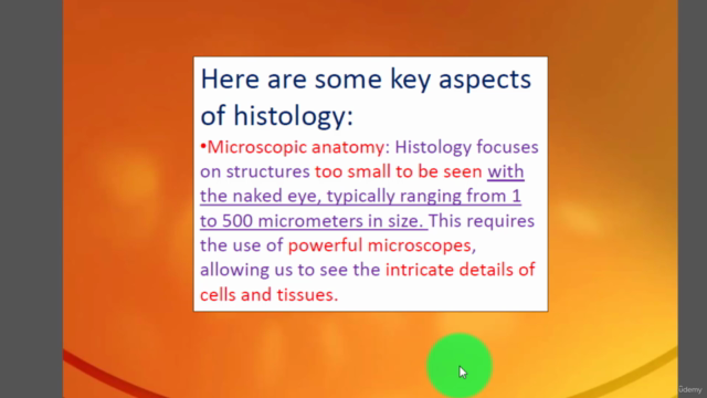 histology fundamentals for medical students – Screenshot 2